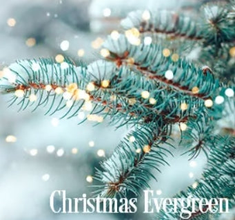 Christmas Evergreen Fragrance