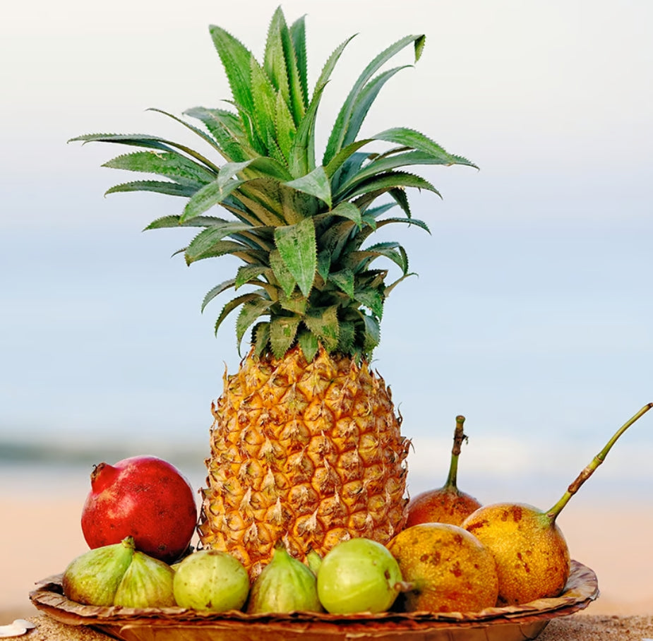 Bora Bora Fragrance