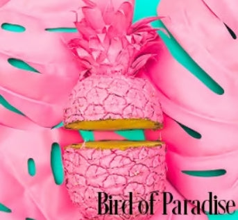 Birds Of Paradise Fragrance