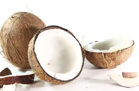 Cabana Coconut Fragrance