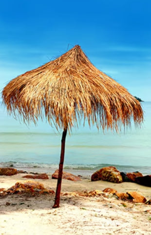 Malibu Heat Fragrance