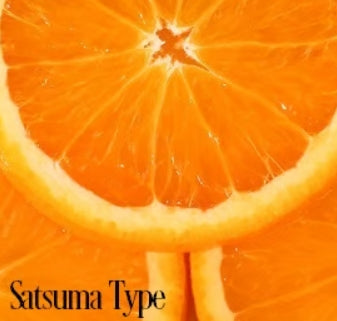 Satsuma Fragrance