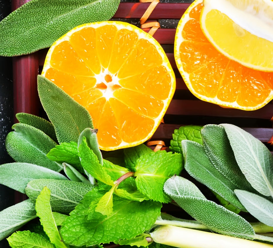 Sage & Citrus Fragrance