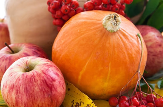 Pumpkin Ginger & Apple Fragrance
