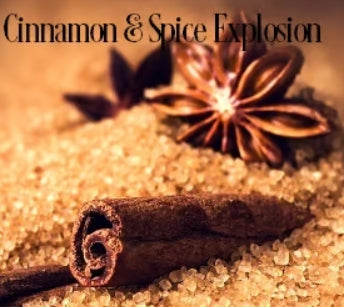 Cinnamon & Spice Fragrance
