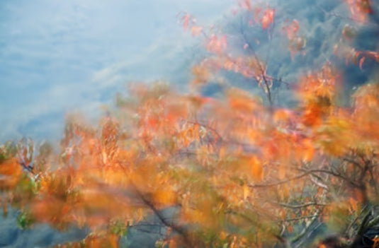 Autumn Rain Fragrance