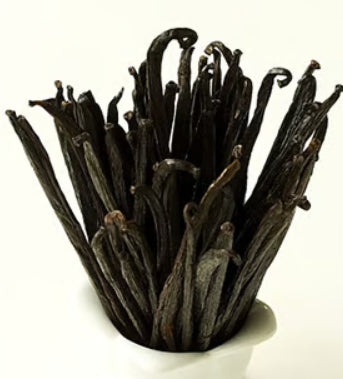 Vanilla Bean Fragrance