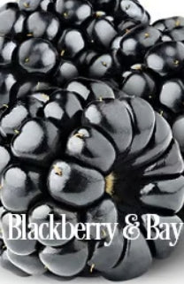 Blackberry & Bay Fragrance