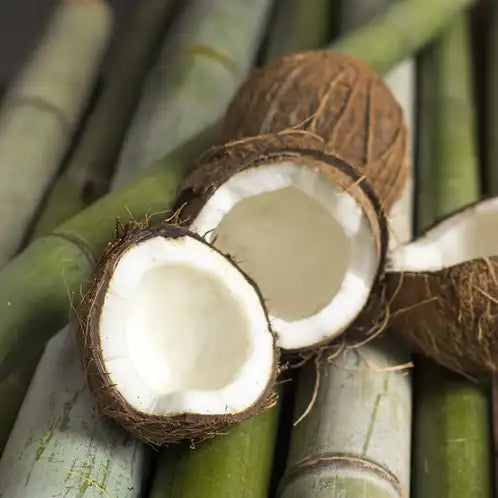 Bamboo & Coconut Fragrance