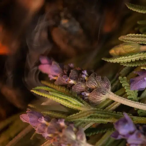 Lavender Embers Fragrance