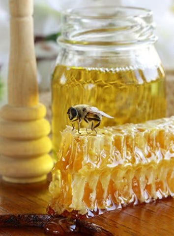 Honey Bee Fragrance