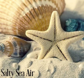 Salty Sea Air Fragrance