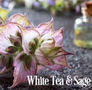 White Tea and Sage Fragrance