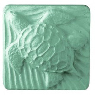 Turtle soap